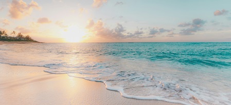 Foto von Sean Oulashin auf Unsplash